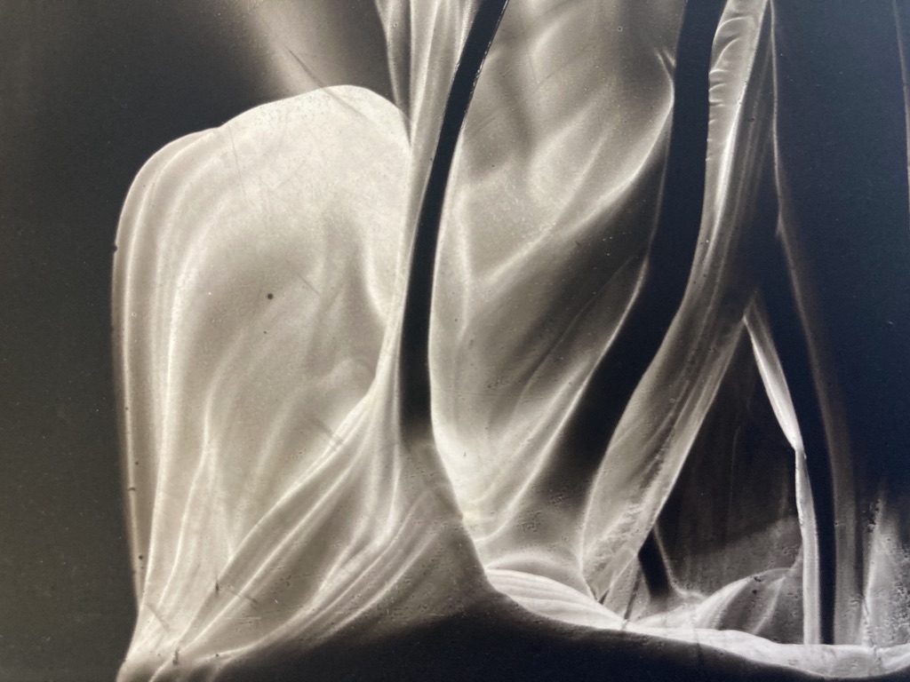 JONATHAN RETALLICK SHIMMER BLACKWATER GALLERY 4.jpeg